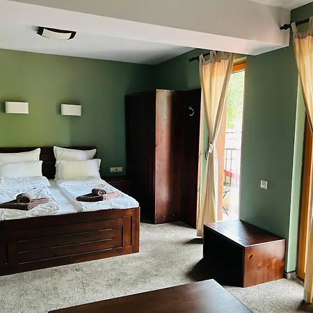 ема 3* Паничище