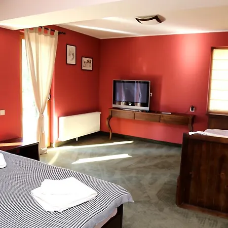 Ema Guest house Panichishte