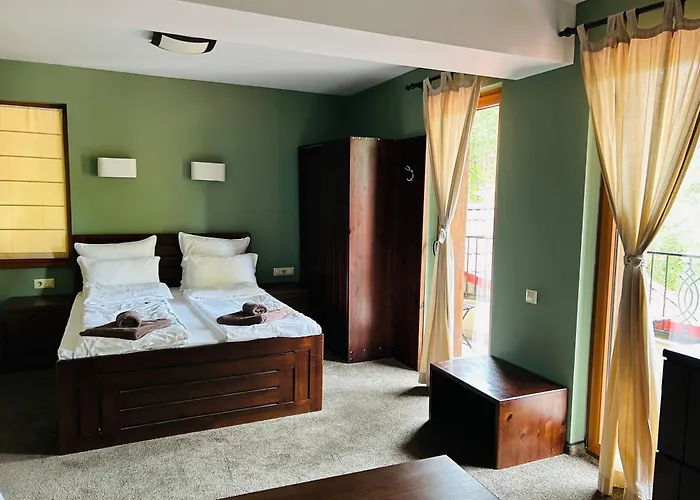 ема 3* Паничище